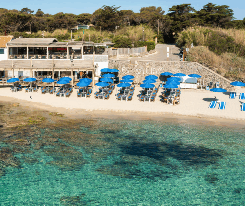 Les Salins seafood restaurant saint tropez